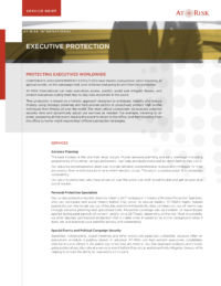 Executive Protection Brief